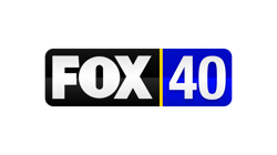 Fox Fox