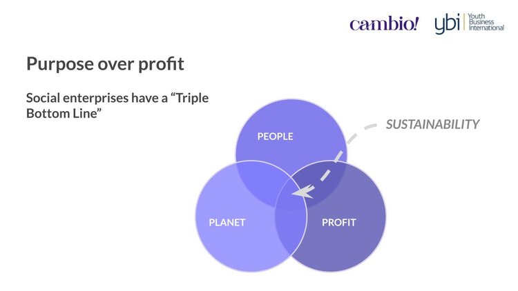 Social+vs.+For-profit.pptx+(2)